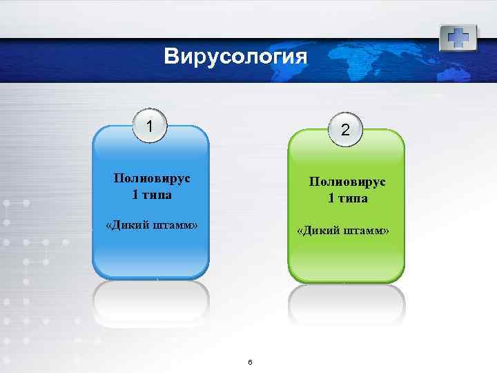 Вирусология 1 2 Полиовирус 1 типа «Дикий штамм» 6 