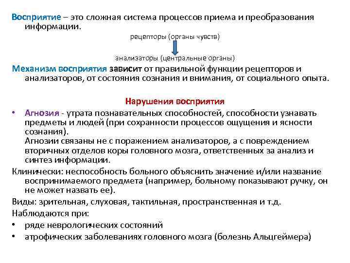 Восприятие – это сложная система процессов приема и преобразования информации. рецепторы (органы чувств) анализаторы