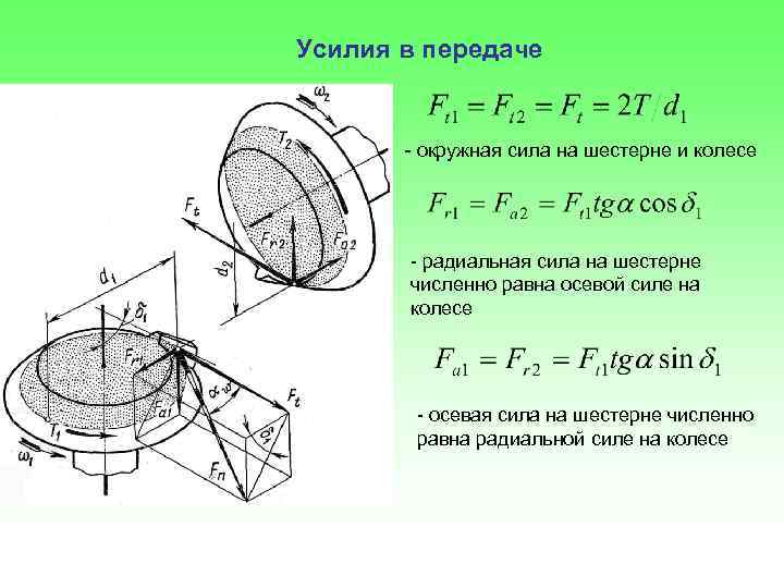 Осевые силы действующие на зубчатые колеса изображенного на рисунке редуктора воспринимают