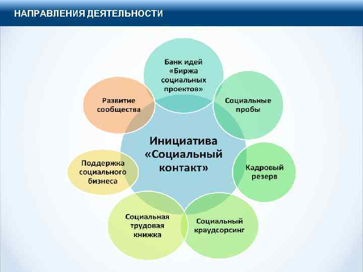 НАПРАВЛЕНИЯ ДЕЯТЕЛЬНОСТИ 