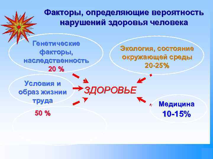Факторы, определяющие вероятность нарушений здоровья человека Генетические факторы, наследственность 20 % Условия и образ