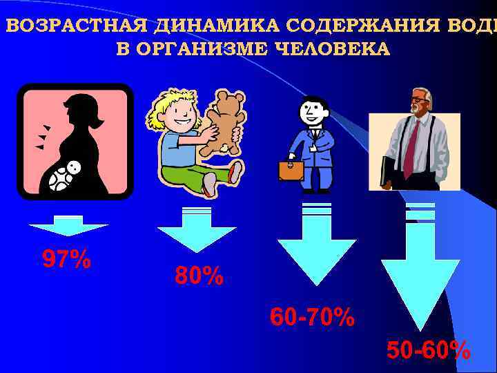 ВОЗРАСТНАЯ ДИНАМИКА СОДЕРЖАНИЯ ВОДЫ В ОРГАНИЗМЕ ЧЕЛОВЕКА 97% 80% 60 -70% 50 -60% 