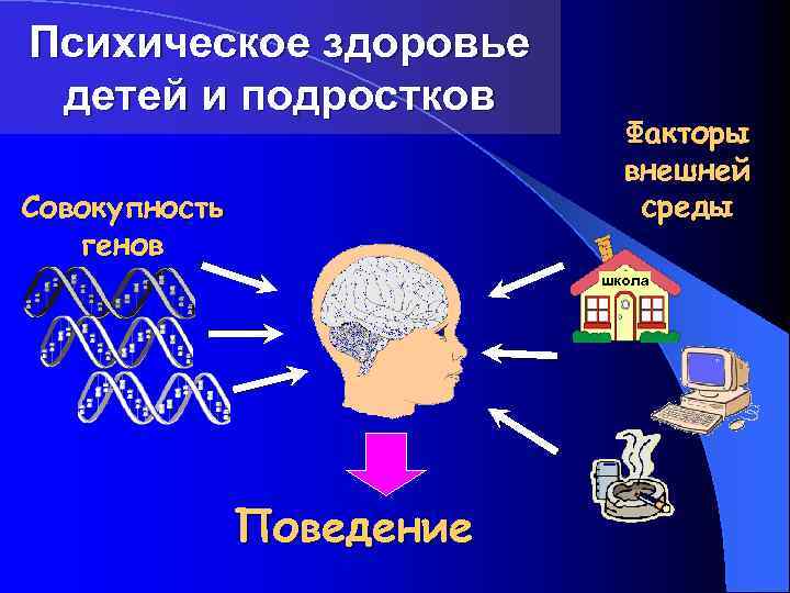 Психическое здоровье детей и подростков Совокупность генов Факторы внешней среды школа Поведение 