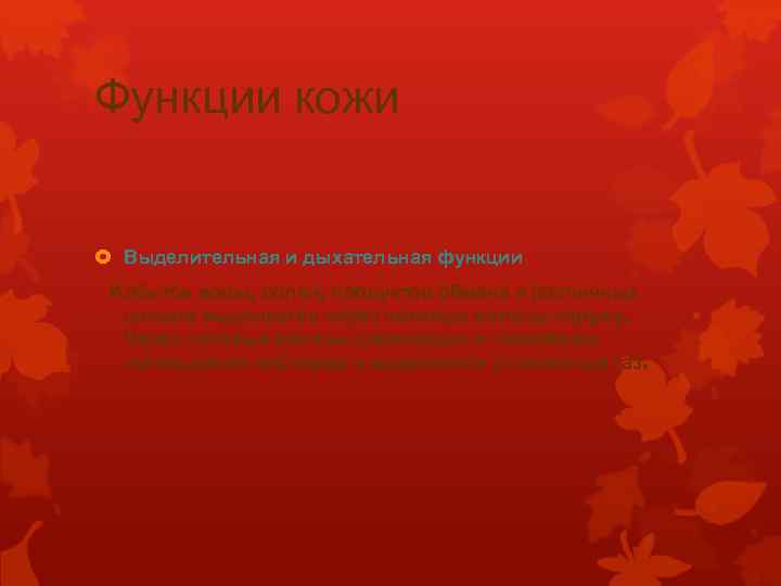 Функции кожи Выделительная и дыхательная функции Избыток воды, солей, продуктов обмена и различных шлаков