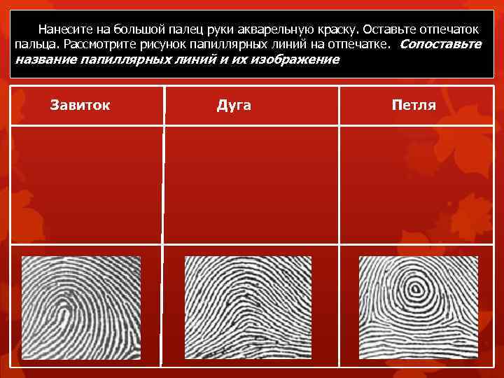 Нанесите на большой палец руки акварельную краску. Оставьте отпечаток пальца. Рассмотрите рисунок папиллярных линий