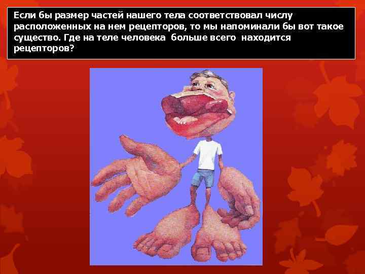 Если бы размер частей нашего тела соответствовал числу расположенных на нем рецепторов, то мы