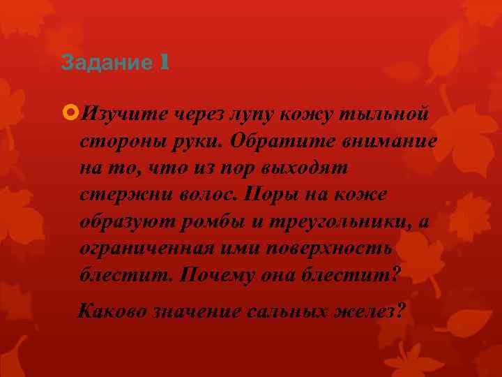 Задание 1 Изучите через лупу кожу тыльной стороны руки. Обратите внимание на то, что