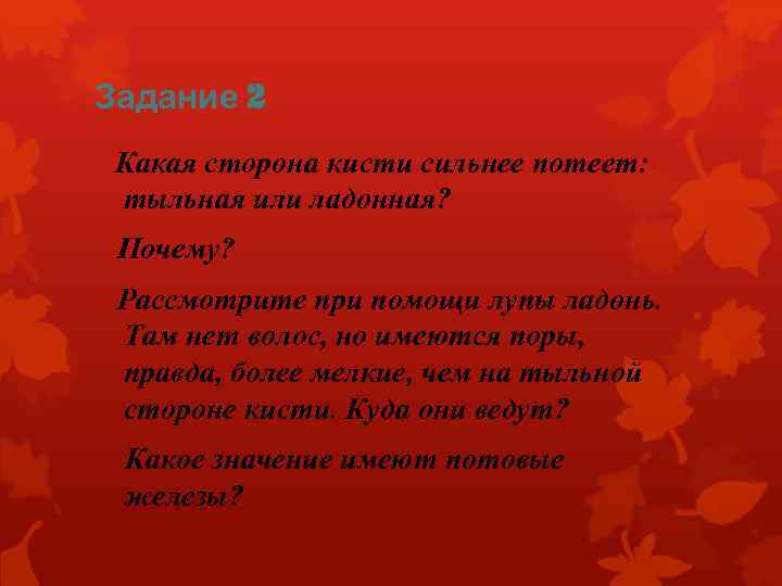 Задание 2 Какая сторона кисти сильнее потеет: тыльная или ладонная? Почему? Рассмотрите при помощи