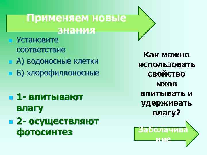 Применяем новые знания n n n Установите соответствие А) водоносные клетки Б) хлорофиллоносные 1