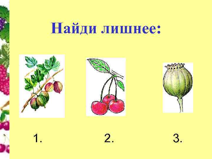 Найди лишнее: 1. 2. 3. 