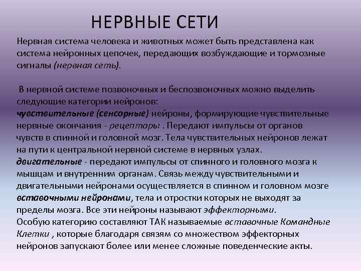 НЕРВНЫЕ СЕТИ Нервная система человека и животных может быть представлена как система нейронных цепочек,