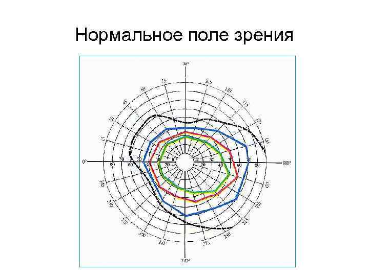 Нормальное поле зрения 