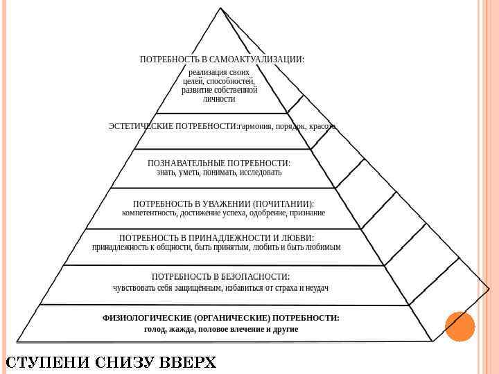 СТУПЕНИ СНИЗУ ВВЕРХ 