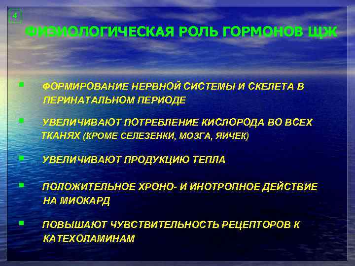 4 ФИЗИОЛОГИЧЕСКАЯ РОЛЬ ГОРМОНОВ ЩЖ § ФОРМИРОВАНИЕ НЕРВНОЙ СИСТЕМЫ И СКЕЛЕТА В ПЕРИНАТАЛЬНОМ ПЕРИОДЕ