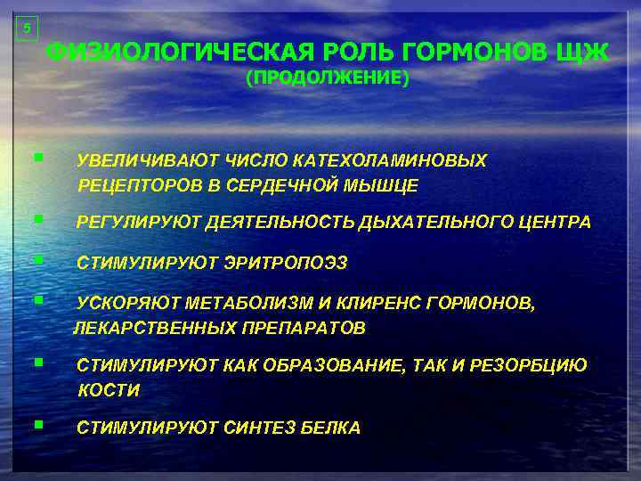 5 ФИЗИОЛОГИЧЕСКАЯ РОЛЬ ГОРМОНОВ ЩЖ (ПРОДОЛЖЕНИЕ) § УВЕЛИЧИВАЮТ ЧИСЛО КАТЕХОЛАМИНОВЫХ РЕЦЕПТОРОВ В СЕРДЕЧНОЙ МЫШЦЕ