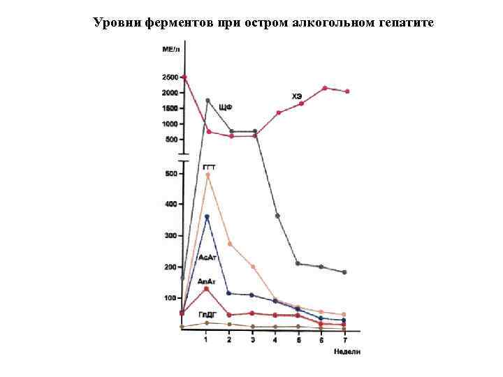 Уровни ферментов при остром алкогольном гепатите 
