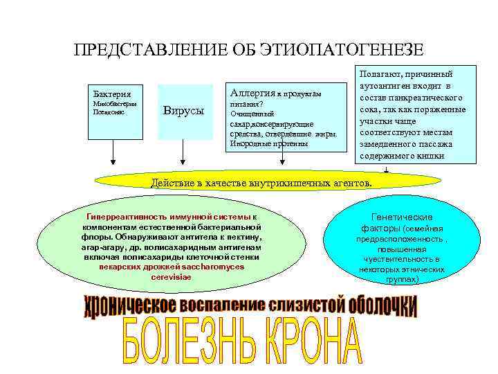 ПРЕДСТАВЛЕНИЕ ОБ ЭТИОПАТОГЕНЕЗЕ Аллергия к продуктам Бактерия Микобактерии Псевдонас Вирусы питания? Очищенный сахар, консервирующие