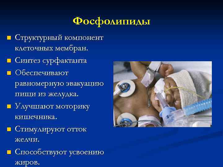 Фосфолипиды n n n Структурный компонент клеточных мембран. Синтез сурфактанта Обеспечивают равномерную эвакуацию пищи