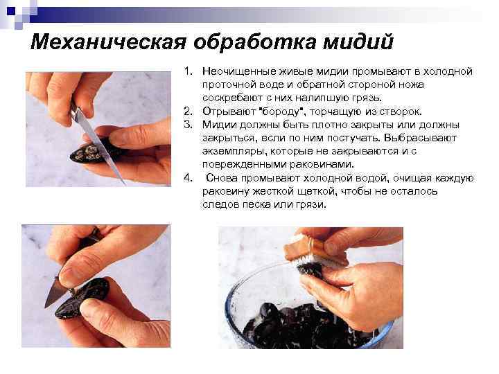 Механическая обработка мидий 1. Неочищенные живые мидии промывают в холодной проточной воде и обратной