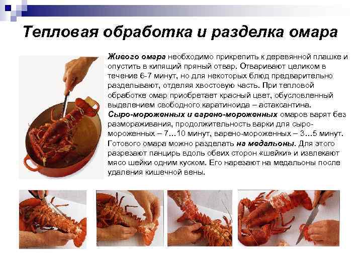 Тепловая обработка и разделка омара Живого омара необходимо прикрепить к деревянной плашке и опустить