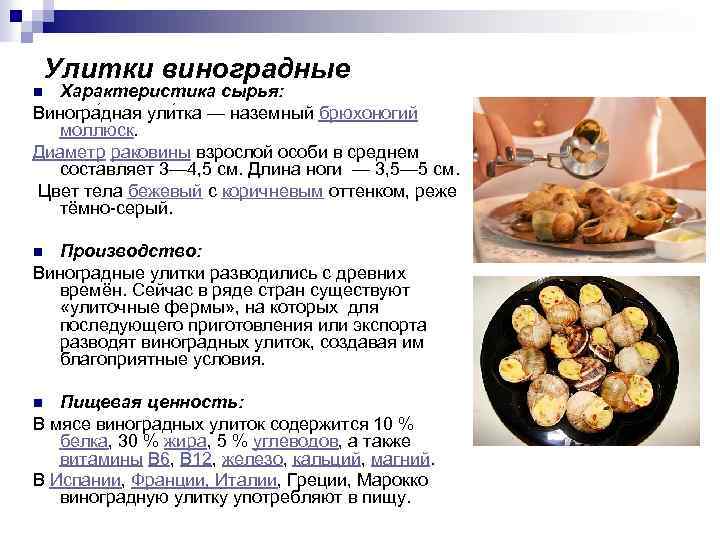 Улитки виноградные Характеристика сырья: Виногра дная ули тка — наземный брюхоногий моллюск. Диаметр раковины