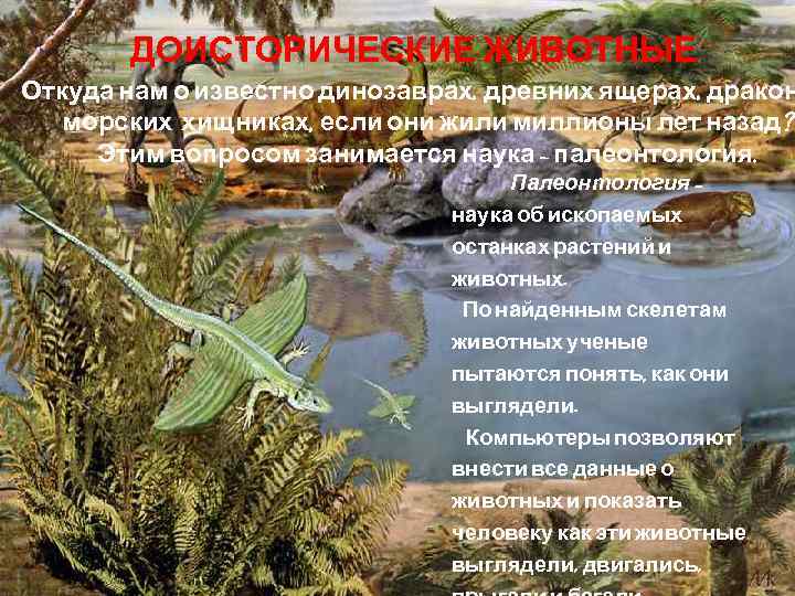 ДОИСТОРИЧЕСКИЕ ЖИВОТНЫЕ Откуда нам о известно динозаврах, древних ящерах, дракон морских хищниках, если они