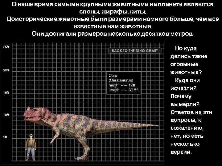 В наше время самыми крупными животными на планете являются слоны, жирафы, киты. Доисторические животные