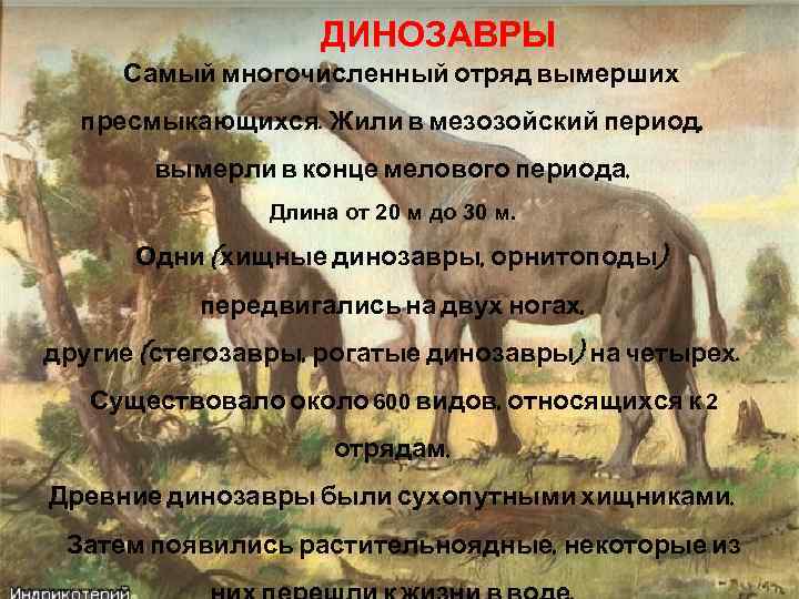 ДИНОЗАВРЫ Самый многочисленный отряд вымерших пресмыкающихся. Жили в мезозойский период, вымерли в конце мелового