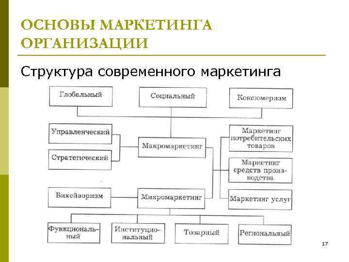 Маркетинговая структура организации