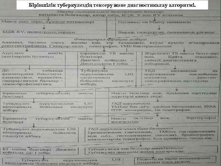 Біріншілік туберкулездің тексеру және диагностикалау алгоритмі. 