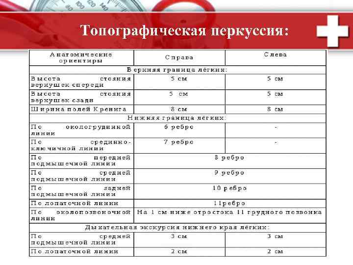 Топографическая перкуссия: 