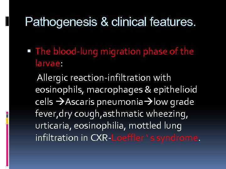 Pathogenesis & clinical features. The blood-lung migration phase of the larvae: Allergic reaction-infiltration with
