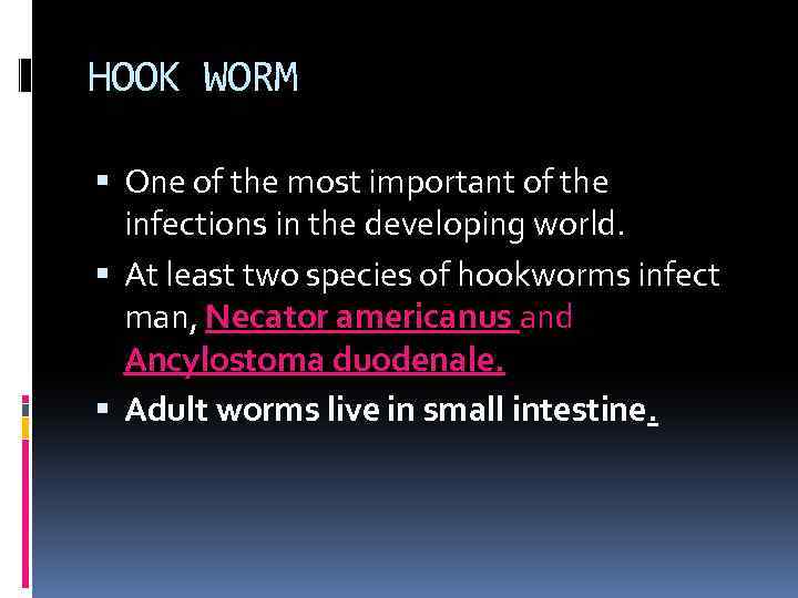 HOOK WORM One of the most important of the infections in the developing world.
