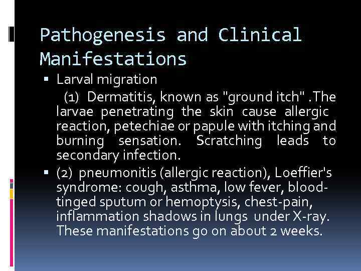 Pathogenesis and Clinical Manifestations Larval migration (1) Dermatitis, known as 