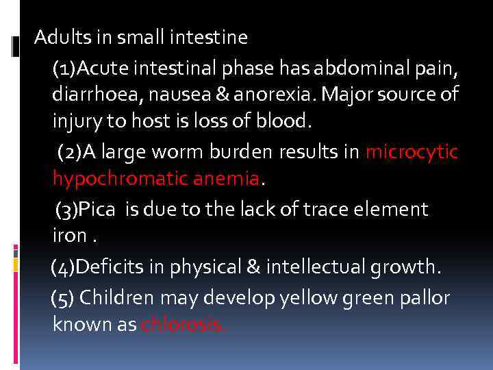 Adults in small intestine (1)Acute intestinal phase has abdominal pain, diarrhoea, nausea & anorexia.