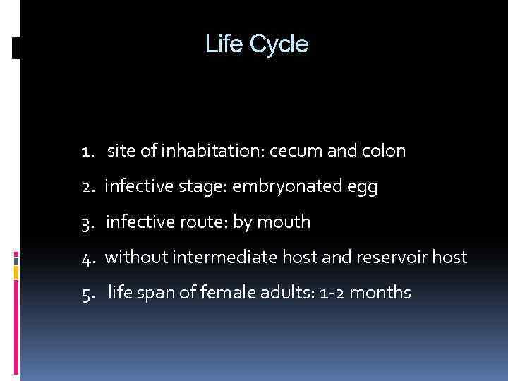 Life Cycle 1. site of inhabitation: cecum and colon 2. infective stage: embryonated egg