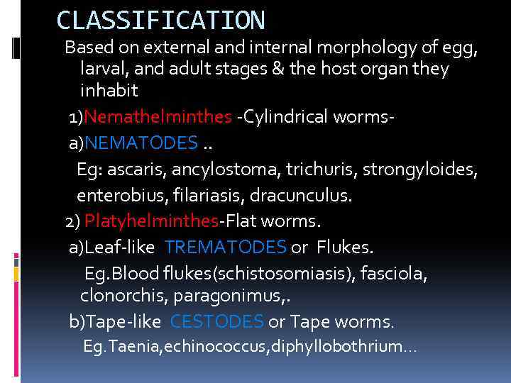 CLASSIFICATION Based on external and internal morphology of egg, larval, and adult stages &