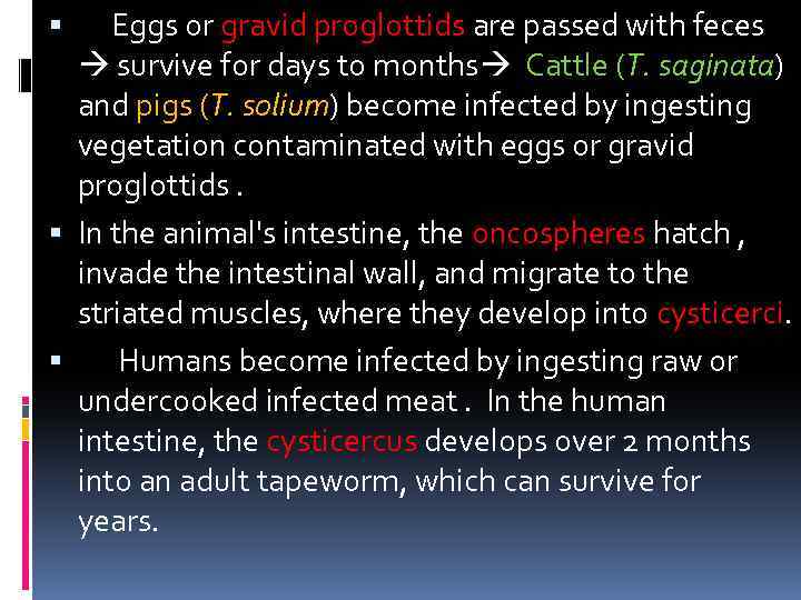  Eggs or gravid proglottids are passed with feces survive for days to months