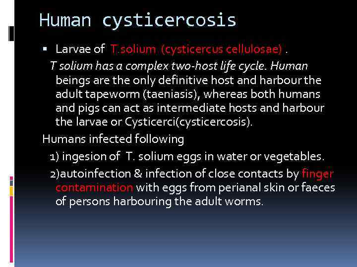 Human cysticercosis Larvae of T. solium (cysticercus cellulosae). T solium has a complex two-host
