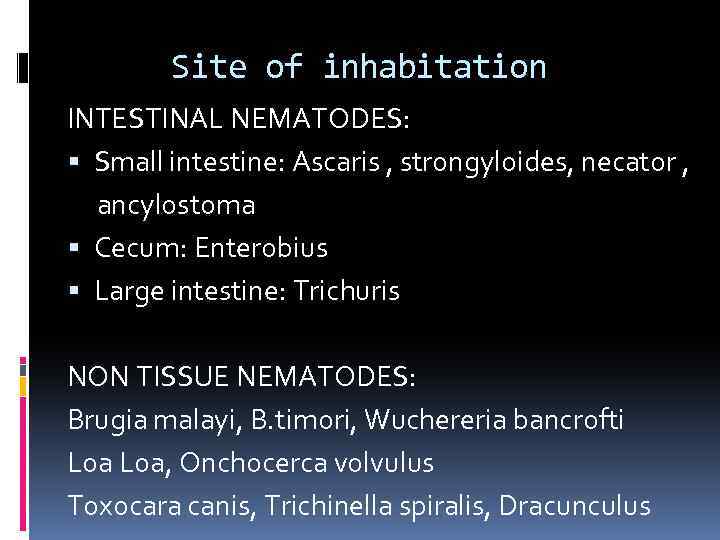 Site of inhabitation INTESTINAL NEMATODES: Small intestine: Ascaris , strongyloides, necator , ancylostoma Cecum: