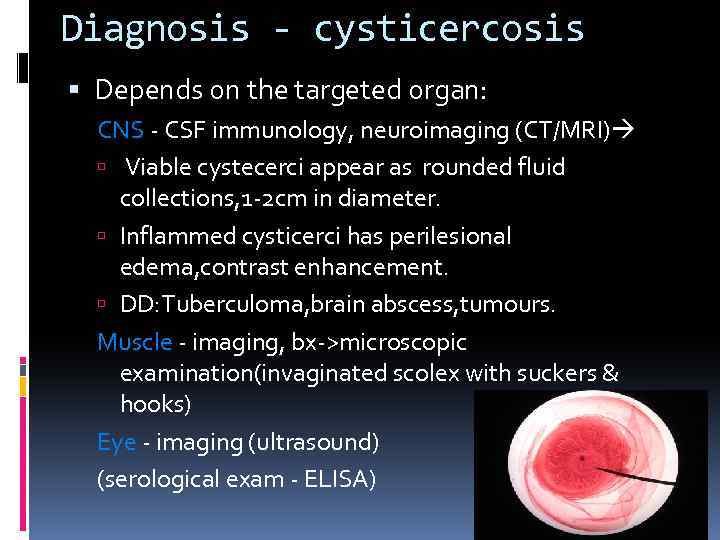 Diagnosis - cysticercosis Depends on the targeted organ: CNS - CSF immunology, neuroimaging (CT/MRI)