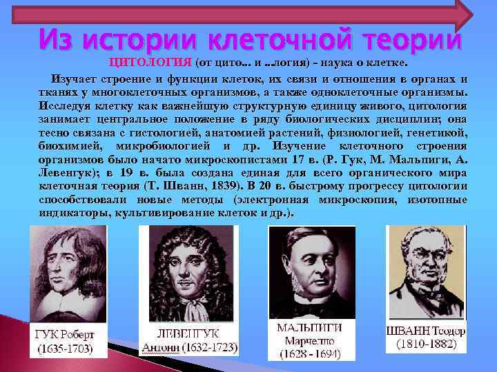 Из истории клеточной теории ЦИТОЛОГИЯ (от цито. . . и. . . логия) -