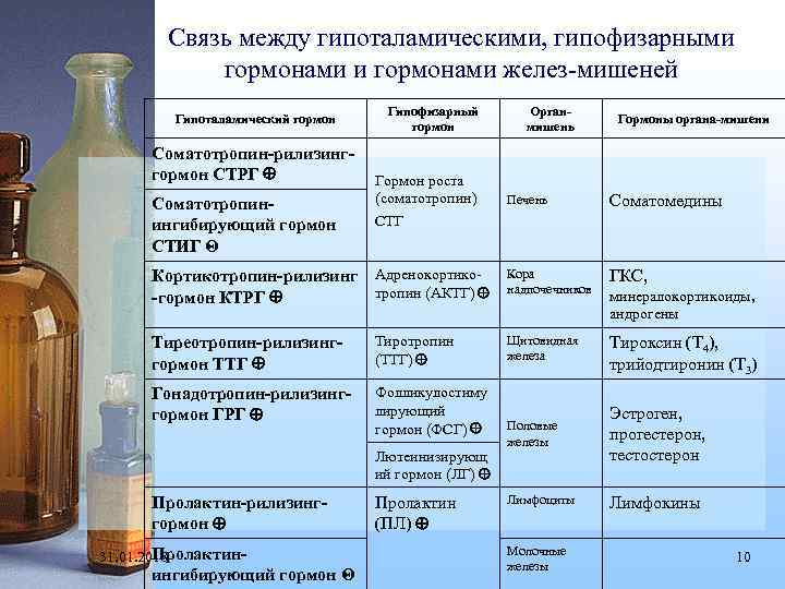 Связь между гипоталамическими, гипофизарными гормонами желез-мишеней Гипоталамический гормон Соматотропин-рилизинггормон СТРГ Соматотропинингибирующий гормон СТИГ Θ