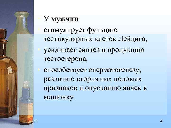  • У мужчин • стимулирует функцию тестикулярных клеток Лейдига, • усиливает синтез и