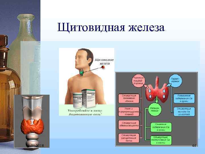 Щитовидная железа 31. 01. 2018 46 