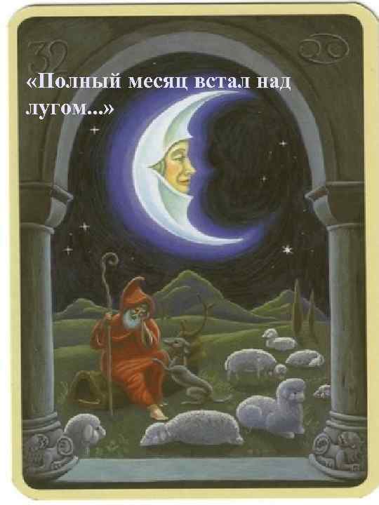  «Полный месяц встал над лугом. . . » 
