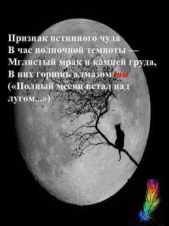 Признак истинного чуда В час полночной темноты — Мглистый мрак и камней груда, В