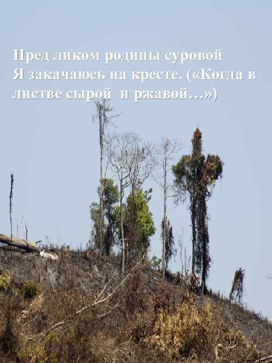 Пред ликом родины суровой Я закачаюсь на кресте. ( «Когда в листве сырой и