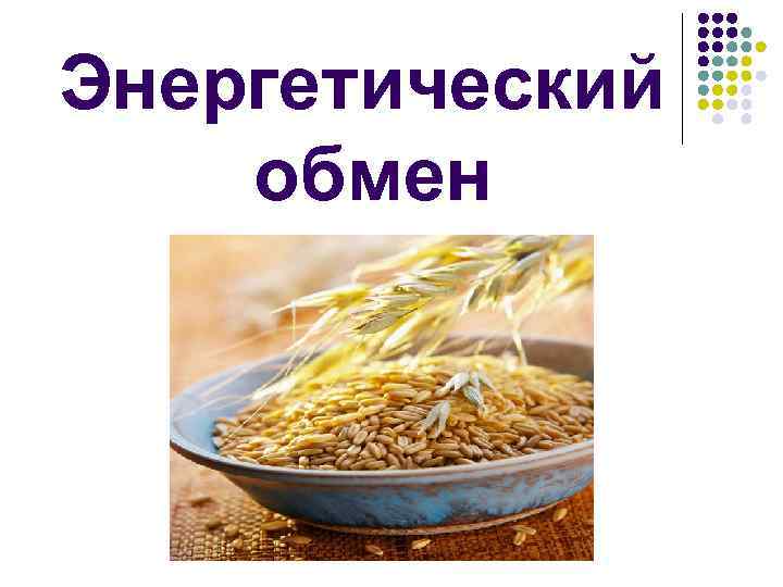 Энергетический обмен 
