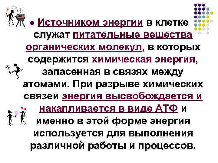 Источником энергии в клетке служат питательные вещества органических молекул, в которых содержится химическая энергия,